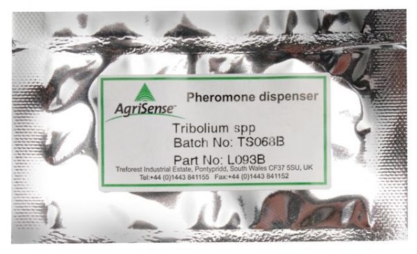 Feromon tribolium do Window Trap 2x1szt-0