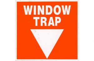 Naklejka na ścianę WINDOW TRAP-0
